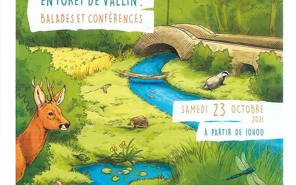 Animations en forêt de Vallin-balades et conférences